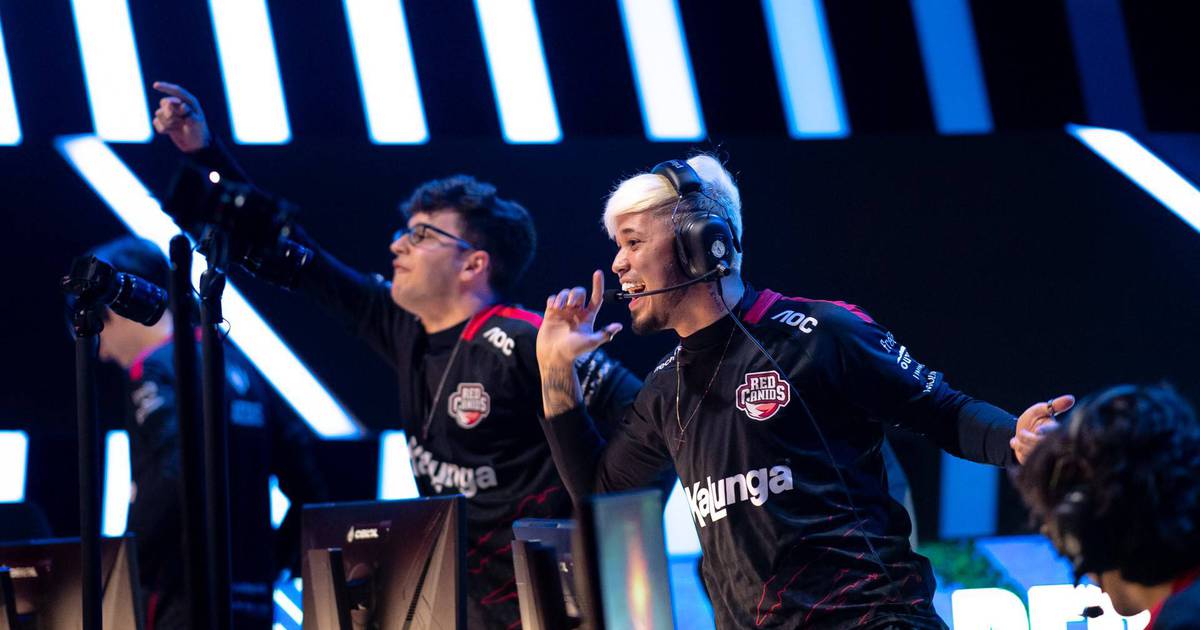 Cblol Por Red Canids Elimina Super Furia