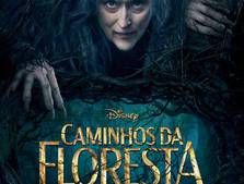 Caminhos da Floresta