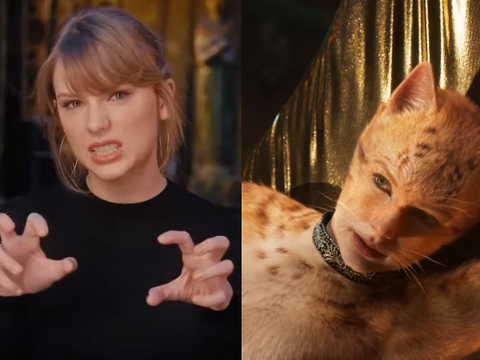 Cats/Reprodução Cats/Reprodução