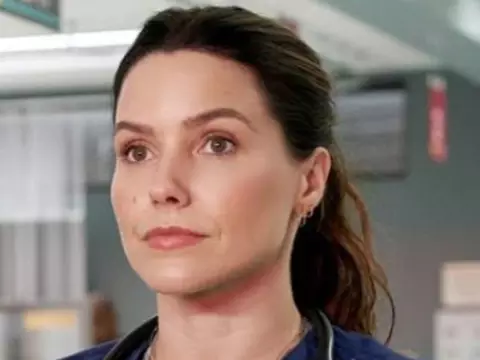 Grey's Anatomy | Sophia Bush vai participar da 21ª temporada da série