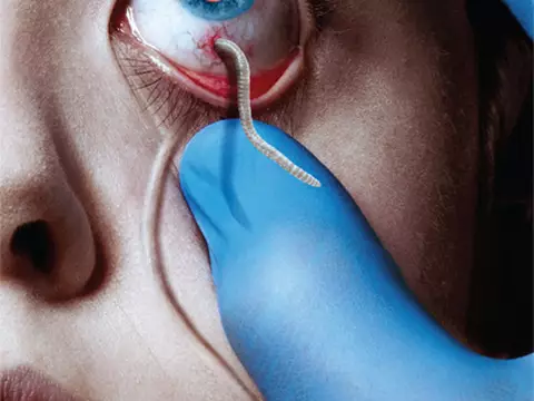 The Strain | Assista aos teasers da série de vampiros de Guillermo del Toro