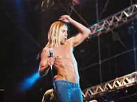 Jim Jarmush vai fazer documentário sobre Iggy Pop e os Stooges