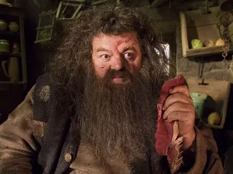 Hagrid (Warner Bros.)