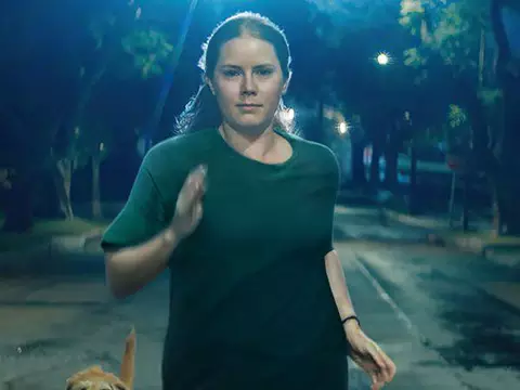 Canina é uma ode às dores e à beleza da maternidade