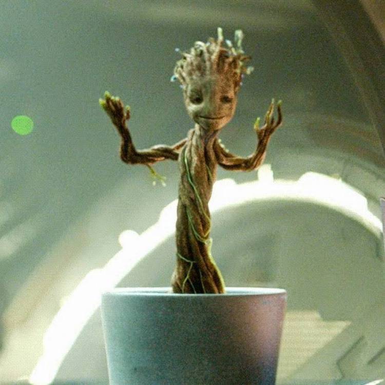 Baby Groot