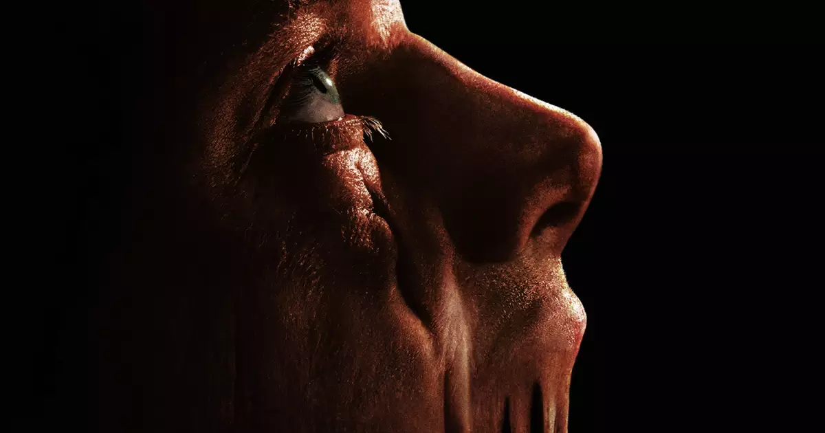 Imagem da notícia - Omelete