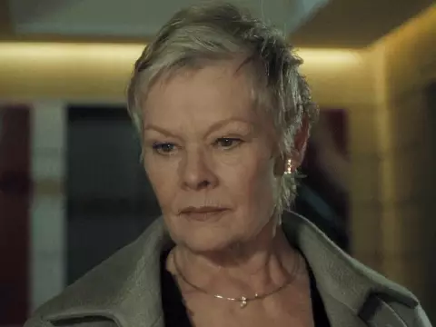 Judi Dench é contra alertas de gatilho: "Se você é sensível, não vá ao cinema"