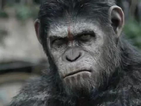 War of the Planet of the Apes | Continuação de Planeta dos Macacos - O Confronto ganha possível título