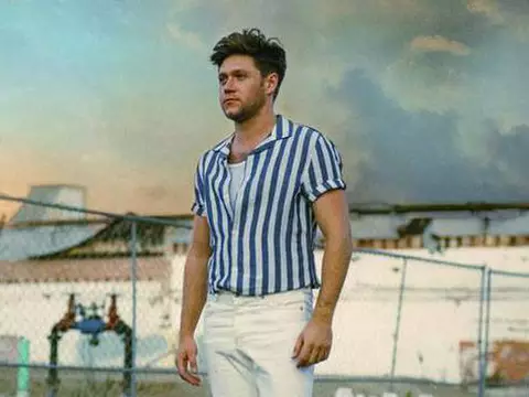 Niall Horan cancela vinda ao Brasil