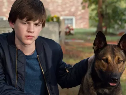 Cena de Max: O Cão Herói