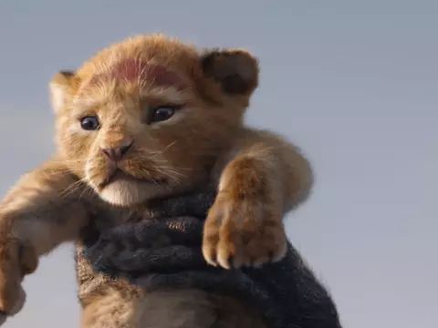 Cena de O Rei Leão (Divulgação)