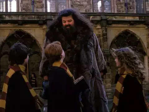 Harry Potter (Divulgação)