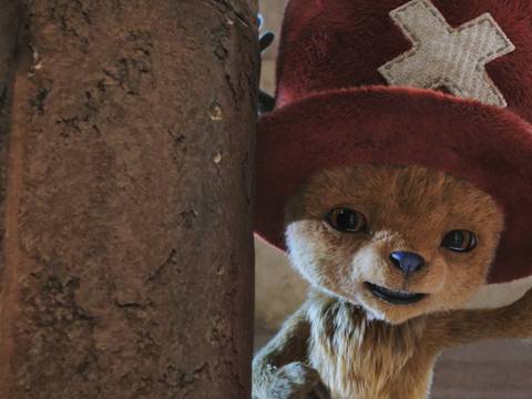 One Piece: Mikaela Hoover assume papel de Chopper no live-action da Netflix