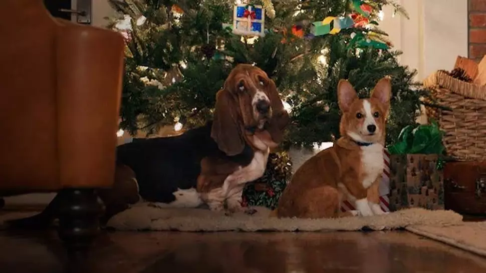O Natal Perfeito De Um Cachorro Filme Netflix Trailer
