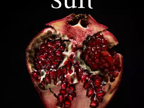 Divulgação/Stephenie Meyer