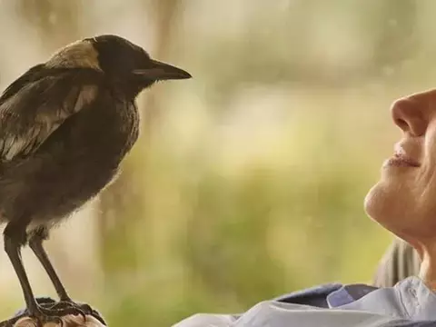 Sessão da Tarde | O que passa na Globo hoje? (22/10)