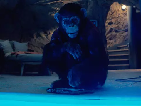 O Primata (Reprodução)