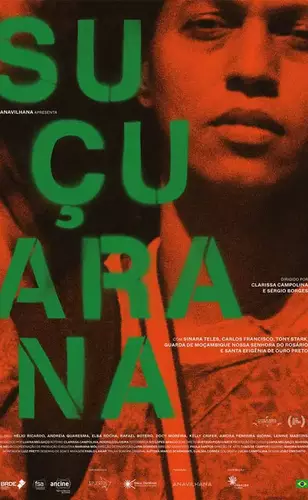 Suçuarana é bom road movie à brasileira com toque de terror fantasmagórico