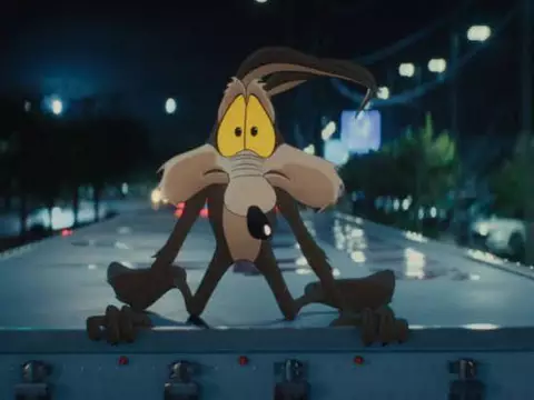 Coyote vs. Acme