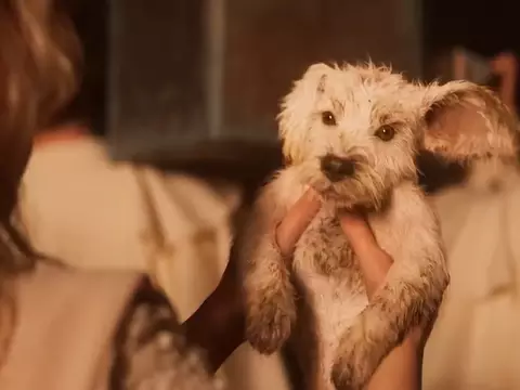 Supergirl ganha teaser com um vislumbre do Krypto filhote; assista