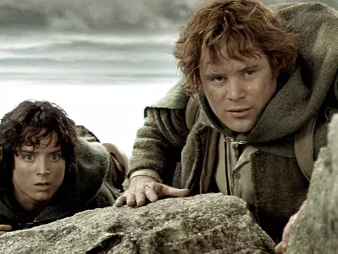 New Line/Divulgação