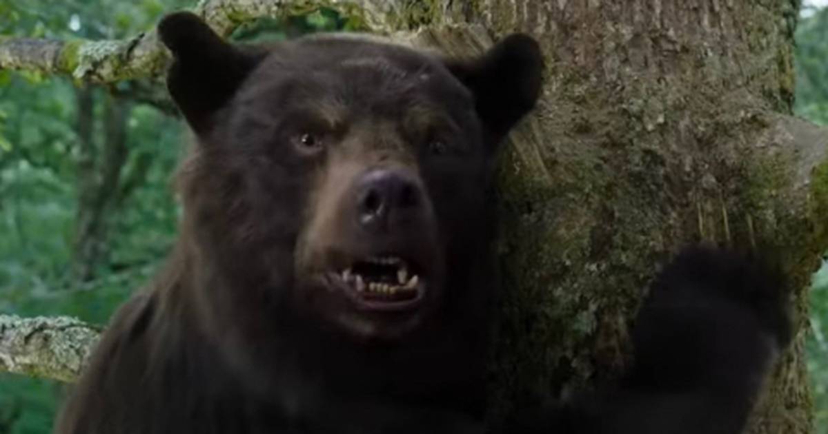 O URSO DO PÓ BRANCO, 2023, Trailer dublado