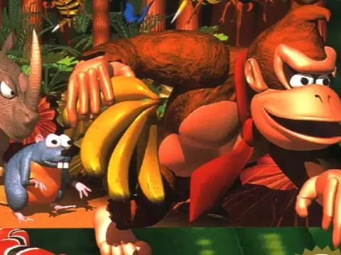 Capa Donkey Kong Country
