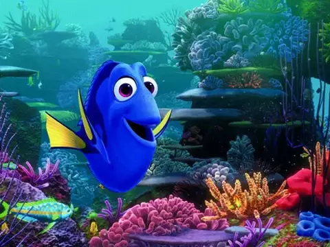 Loving Dory | Nova animação de Procurando Nemo ganha primeira imagem