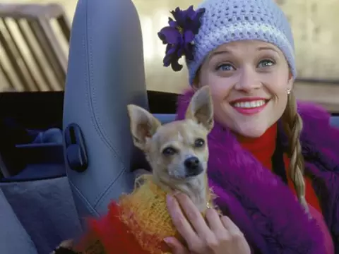 Reese Witherspoon em Legalmente Loira (Reprodução)