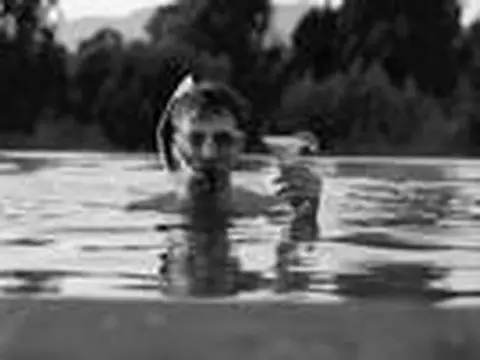 Muito Barulho por Nada | Crítica