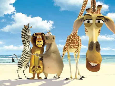 Madagascar será relançado nos cinemas em comemoração aos 20 anos