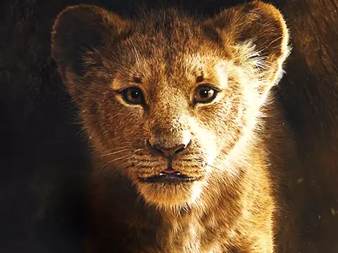 O REI LEÃO - TRAILER COMENTADO | Live