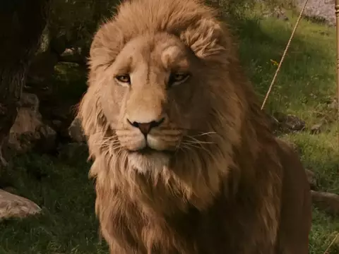 Narnia: El sobrino del mago | Sony estrenará película de Netflix en los cines