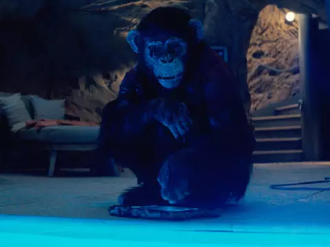 Ótimo “monstro” não é o bastante para O Primata superar seus problemas