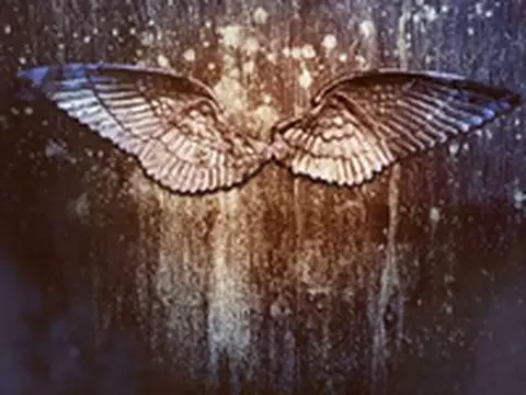 Angelfall | Sam Raimi vai produzir filme sobre apocalipse angelical