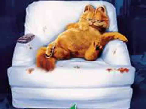 Garfield - O Filme | Crítica