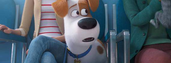 10 coisas para saber antes de ver 'Pets - A Vida Secreta dos Bichos