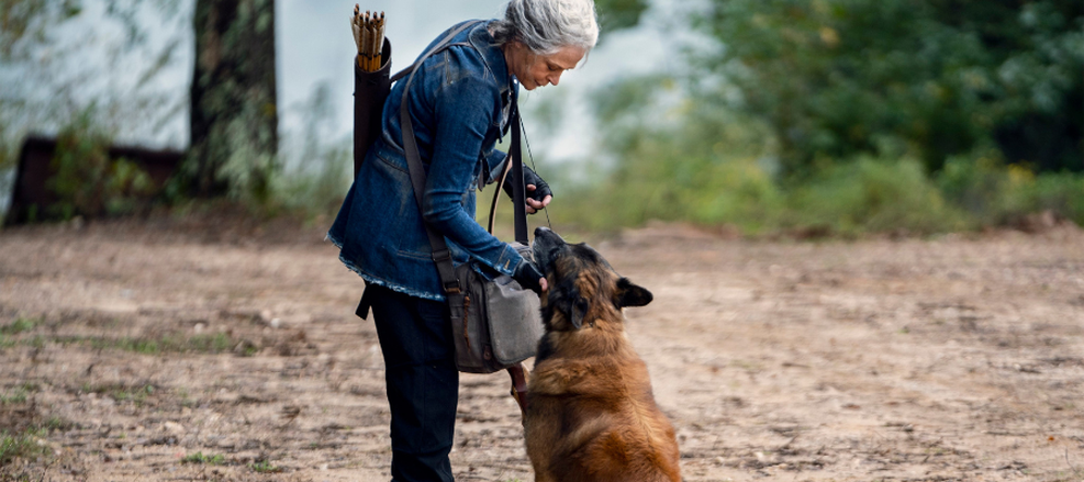 The Walking Dead | Morre Seven, famoso cachorro da s&eacute;rie