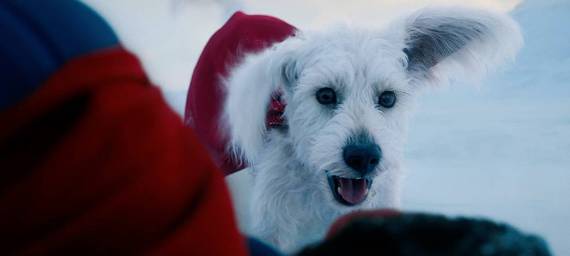 Krypto y Superman protagonizan nueva imagen de la película