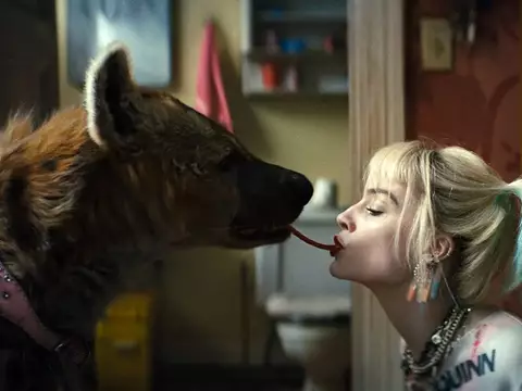 Aves de Rapina | Diretora comenta bilheteria do filme