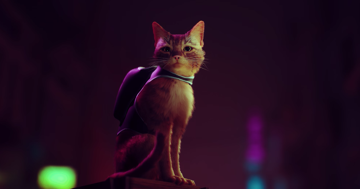 Stray  Jogo protagonizado por gato é lançado para PS4, PS5 e PC - Canaltech