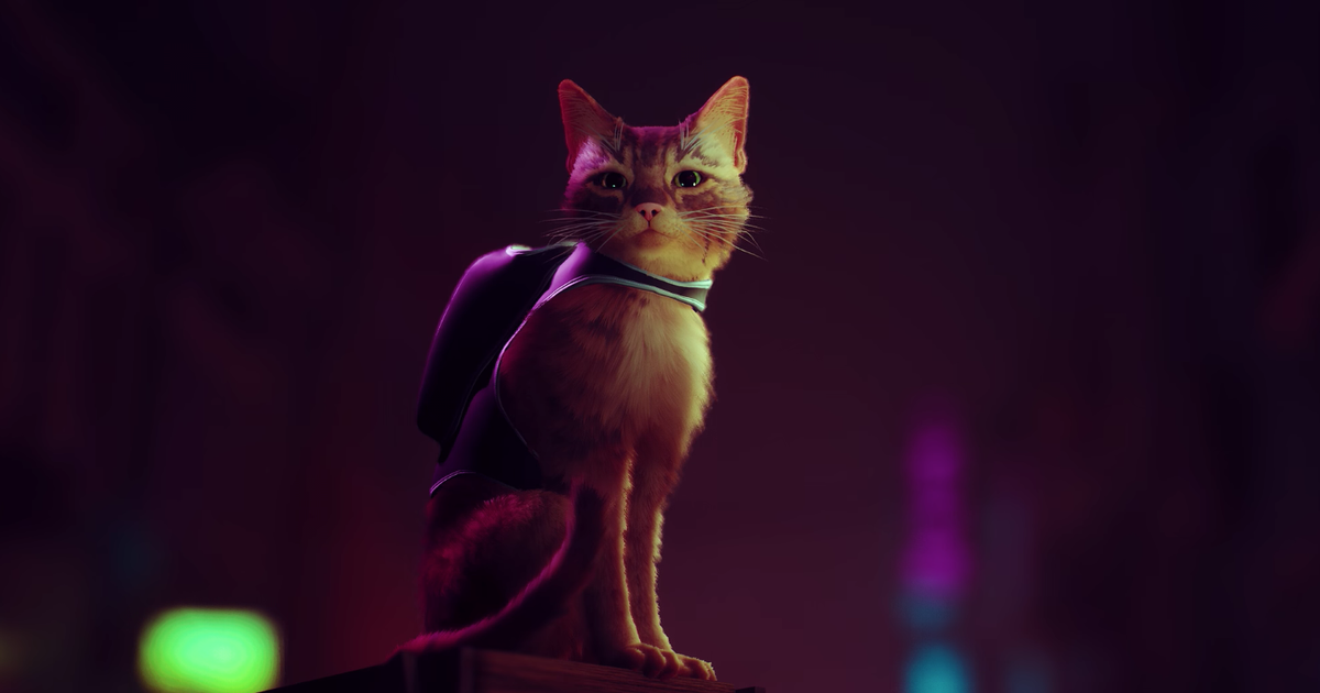 Stray  Jogo protagonizado por gato é lançado para PS4, PS5 e PC