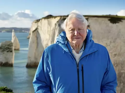 David Attenborough bate recorde ao ser indicado ao Emmy aos 100 anos de idade