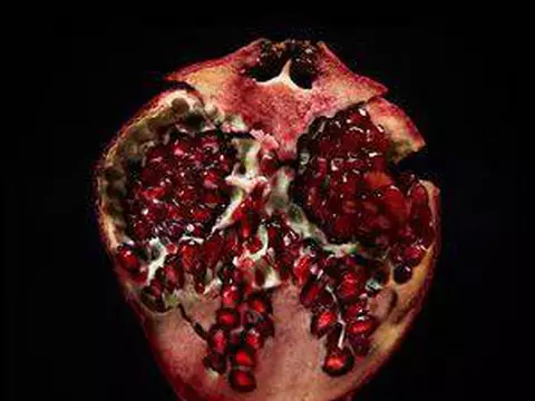 Intrínseca/Divulgação