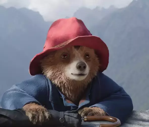 Paddington (Reprodução)
