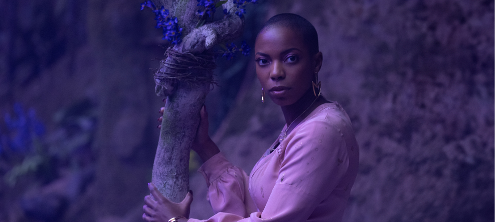 He-Man: Sasheer Zamata Revela Detalhes de Seu Personagem Misterioso no Novo Filme