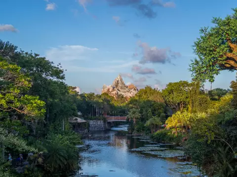 Disney’s Animal Kingdom Theme Park | Conheça mais sobre as atrações do parque