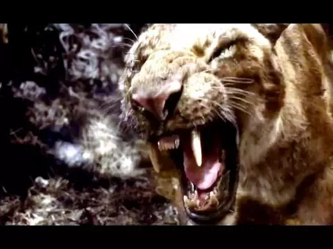 Depois da Terra ganha novo comercial de TV
