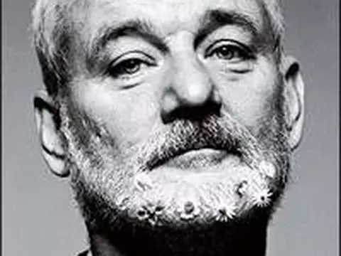 St. Vincent De Van Nuys | Bill Murray será veterano problemático em filme sobre amizade