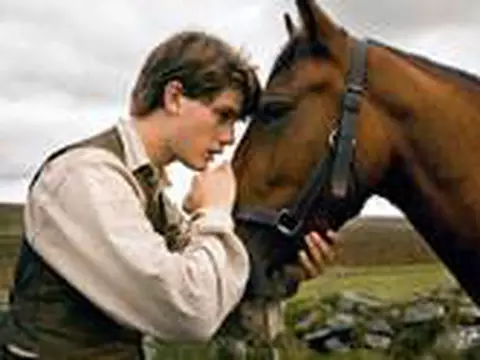 Cavalo de Guerra | Crítica